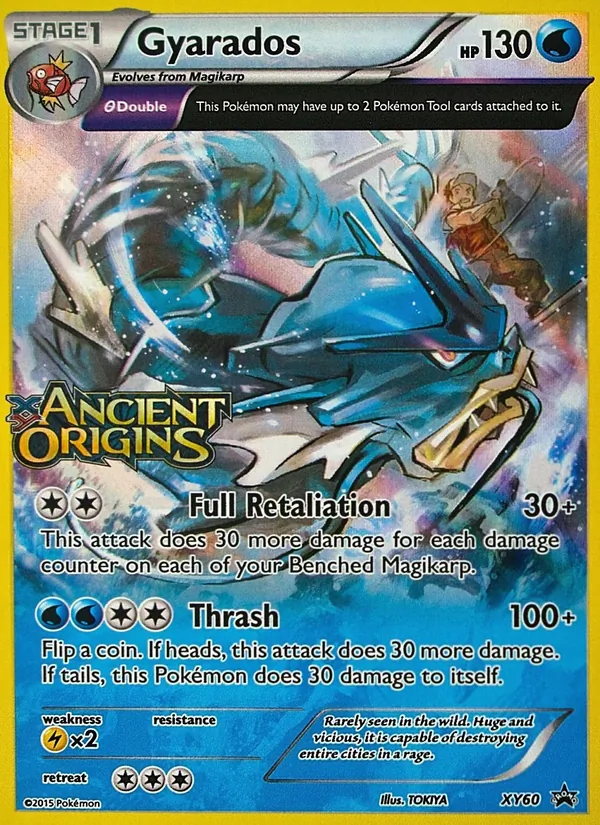 Gyarados XY60, base reference; stamps unverified